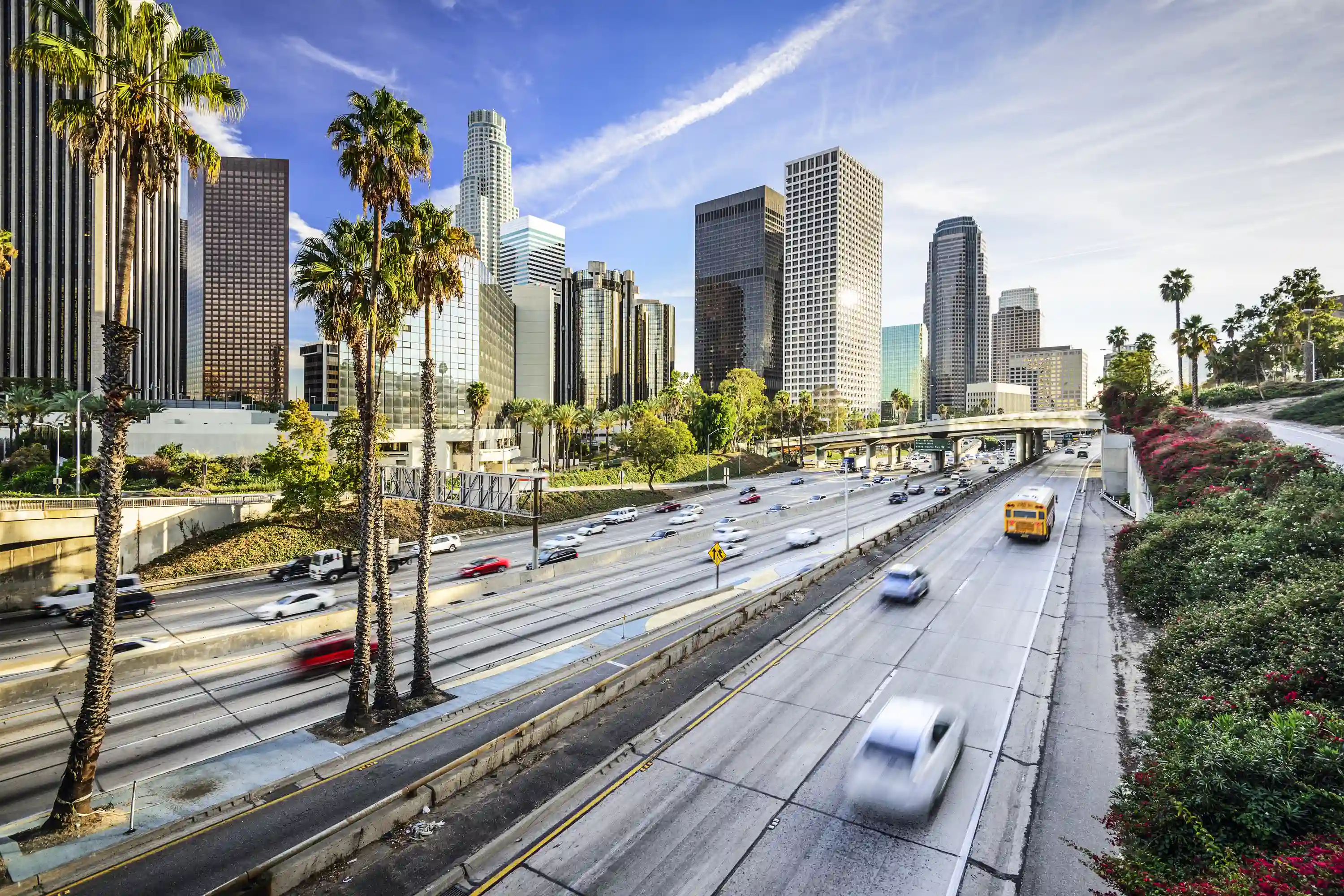 LA, with sky scrapers and freeway with palm trees in front